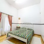 Rent a room in lisbon