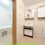 Rent 3 bedroom apartment in Praha 9