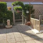 Rent 4 bedroom apartment of 270 m² in Grosseto