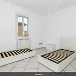 Rent 3 bedroom apartment of 80 m² in Bologna