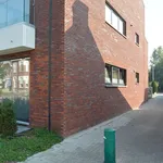 Rent 3 bedroom apartment in Schriek