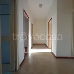 Rent 4 bedroom apartment of 160 m² in Biella