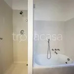 Rent 3 bedroom apartment of 80 m² in Torino