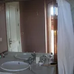 Rent 1 bedroom apartment of 175 m² in Cadiz']