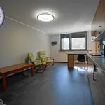 Rent 1 bedroom apartment of 33 m² in Katowice