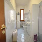 Rent 2 bedroom apartment of 50 m² in Torino