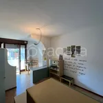 Rent 1 bedroom apartment of 40 m² in Busto Arsizio