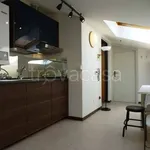 Rent 1 bedroom apartment of 28 m² in Bologna