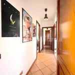 Rent 3 bedroom apartment of 100 m² in Rome