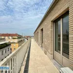 Rent 5 bedroom apartment of 286 m² in Turin