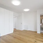 Pronájem domu 175m² s pozemkem 878m²