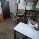 Rent 2 bedroom apartment of 50 m² in Torino