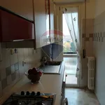 Rent 2 bedroom apartment of 60 m² in Milano