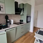 Rent 3 bedroom apartment of 60 m² in Leipzig