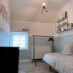 Rent 1 bedroom apartment in Kortrijk