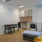 Rent 1 bedroom apartment in Blansko