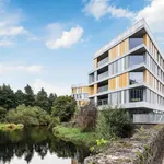 Rent 1 bedroom student apartment of 16 m² in Cork