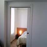 Rent 1 bedroom apartment in Bologna