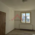 Rent 3 bedroom apartment of 100 m² in Pardubice