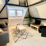 Huur 1 slaapkamer appartement van 50 m² in Den Haag