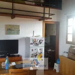 Rent 1 bedroom apartment of 30 m² in Empoli