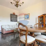 Rent 7 bedroom apartment of 120 m² in Camogli