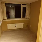 Rent 2 bedroom apartment in Amsterdam