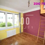 Rent 1 bedroom apartment of 24 m² in České Budějovice