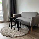 Rent 1 bedroom apartment of 33 m² in Stuttgart