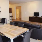 Rent 2 bedroom apartment in Brussels