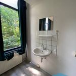Huur 1 slaapkamer appartement van 20 m² in Apeldoorn
