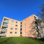 Rent 4 bedroom apartment of 66 m² in Duisburg