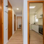 Rent 4 bedroom apartment in Valencia