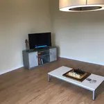 Rent 3 bedroom apartment in Braga