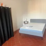 Rent 2 bedroom apartment of 36 m² in Perpignan