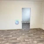 Rent 2 bedroom apartment of 44 m² in Ostrava