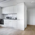 Miete 1 Schlafzimmer wohnung von 32 m² in Zürich