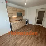 Rent 2 bedroom apartment of 47 m² in Ostrava