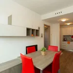 Rent 1 bedroom apartment in milan