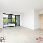 Rent 3 bedroom apartment in Plzeň