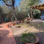 Apartment via delle Sughere, Punta Ala, Castiglione della Pescaia