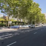 Alquilar 5 dormitorio apartamento en Madrid