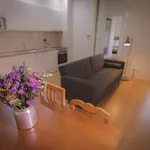 Rent 1 bedroom apartment of 45 m² in Porto