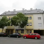 Rent 2 bedroom apartment of 48 m² in Wiener Neustadt