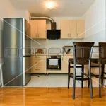 Rent 1 bedroom apartment of 42 m² in Zagreb