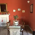 Rent 4 bedroom apartment of 110 m² in Torino