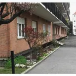 Rent 1 bedroom apartment in Turin