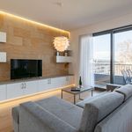 Rent 3 bedroom apartment of 1292 m² in Dresden