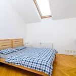 Studio o rozloze 40 m² v prague