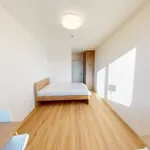 Pronajměte si 2 ložnic/e byt o rozloze 54 m² v Prague